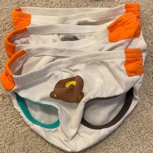 Lot of 3 Tiny Undies EUC 2T training underwear